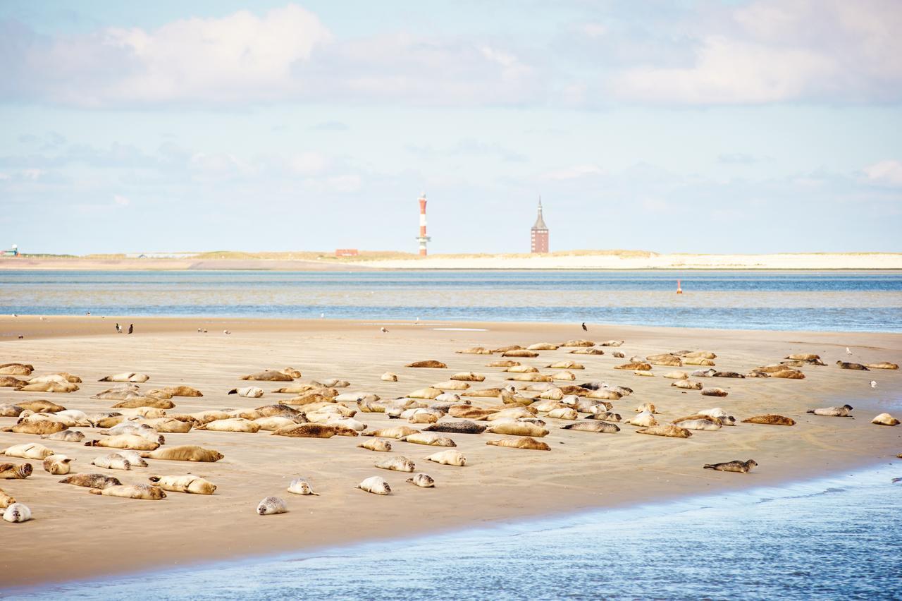 Jugendherberge Wangerooge Wangerooge Island Eksteriør bilde